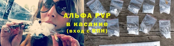 крисы Арсеньев