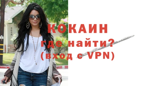 прущие грибы Армянск