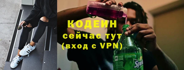 прущие грибы Армянск