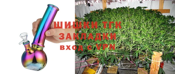прущие грибы Армянск