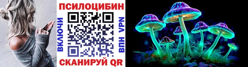 купить   Ясный  Псилоцибиновые грибы MAGIC MUSHROOMS 